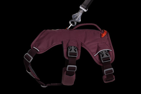 RuffWear Web Master™ Dog Harness with Handle Purple Rain L/XL