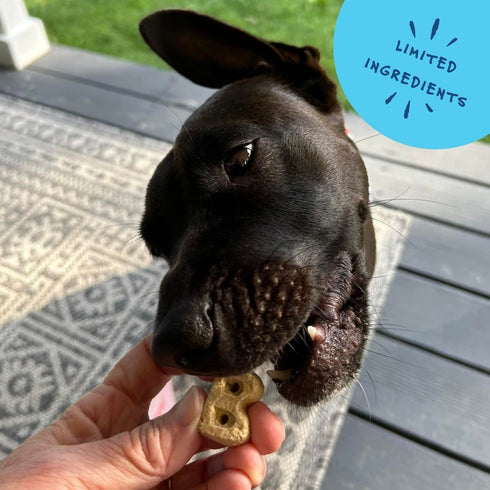 Bocce's Bakery Oven Baked Sunday Roast Treats for Dogs 5 oz