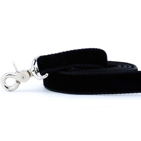 2 Hounds Design Black Velvet Dog Leash 6' - Poudre Pet & Feed Supply