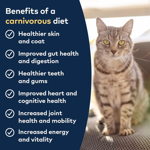 Ziwi Peak Rabbit & Lamb Grain Free Wet Cat Food 3oz poudrefeed.com 3