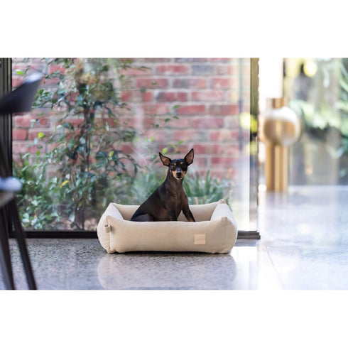 FuzzYard Life Bed Corduroy Bed Sandstone Small Poudre Pet & Feed Supply 3