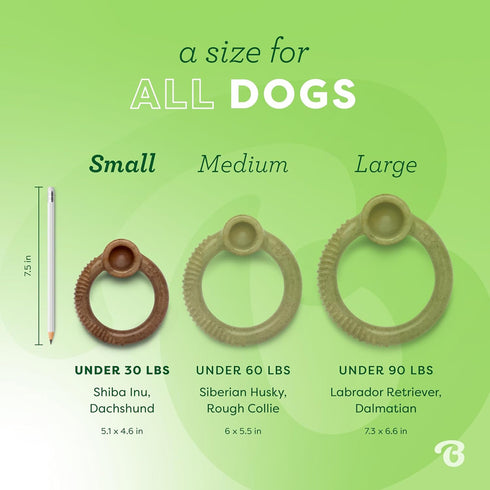 Benebone Ring Durable Dog Chew Toy Small Bacon Flavor poudrefeed.com 4