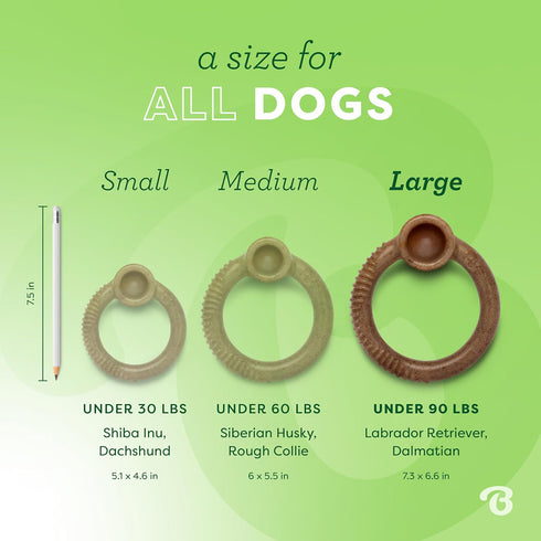 Benebone Ring Durable Dog Chew Toy Large Bacon Flavor poudrefeed.com 4