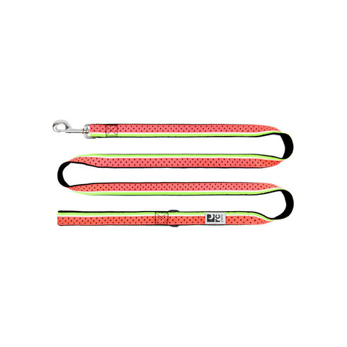 RC PETS Dog Leash, Watermelon, 3/4"x6' - Poudre Pet and Feed Supply
