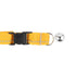 Rc Pet Products Primary Kitty Breakaway Marigold Collar One Size 8" - 10"