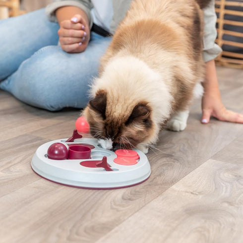 Trixie Activity Hide N' Slide Cat Treat Dispenser