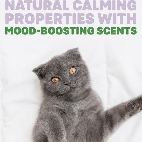 Naturally Fresh Harmony Lavender & Bamboo Scented Clumping Cat Litter 26lb