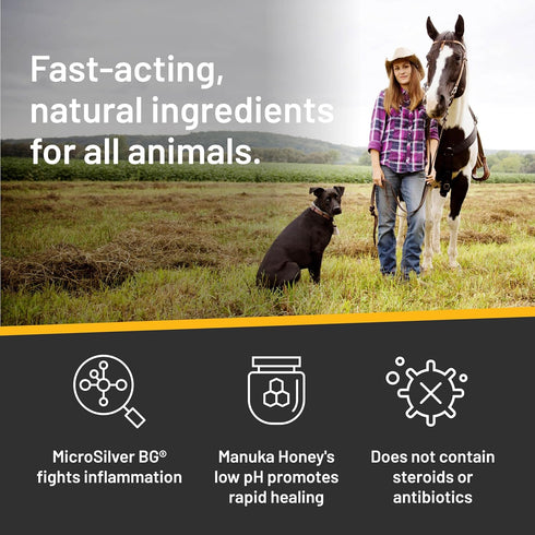 Absorbine Silver Honey Rapid Skin Relief Medicated Shampoo for Horses, Dogs and Cats 16 fl oz