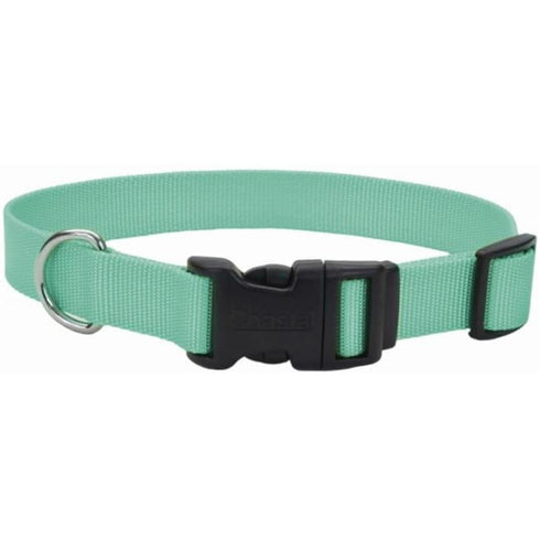 Coastal Tuff Adjustable Dog Collar 3/8" x 8-12 Teal - Poudre Pet & Feed Supply