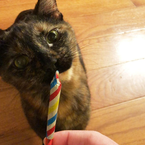 Meowijuana Birthjays Party Size Catnip Joints Cat Toys 6ct - Poudre Pet & Feed Supply 5