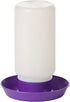 Little Giant Mason Jar Screw-On Poultry Purple Waterer Base for Birds