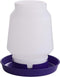 Little Giant Purple Plastic Poultry Fount for Birds 1gal