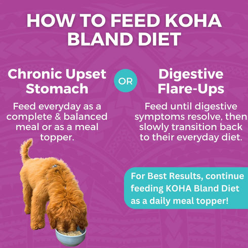 Koha Limited Ingredient Bland Diet Beef & White Rice Wet Dog Food 12.5oz Poudre Pet & Feed Supply 5