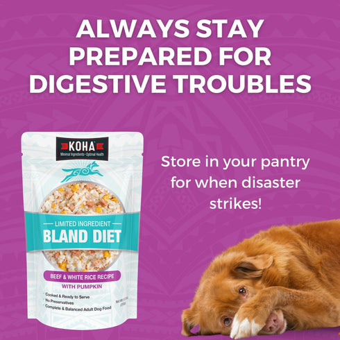 Koha Limited Ingredient Bland Diet Beef & White Rice Wet Dog Food 12.5oz Poudre Pet & Feed Supply 6