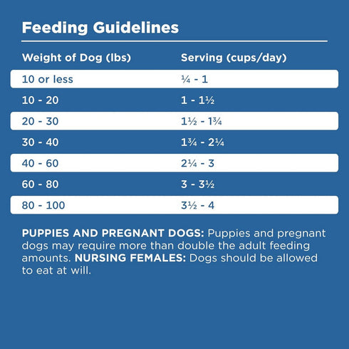 Bixbi Pet Rawbble Turkey Dry Dog Food 4lb - Poudre Pet & Feed Supply 5