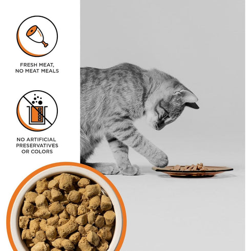 Bixbi Rawbble Freeze-Dried Chicken Raw Cat Food 10oz - Poudre Pet & Feed Supply 3