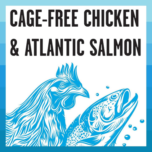 Bixbi Rawbble Shredded Chicken & Salmon Wet Cat Food 2.75oz - Poudre Pet & Feed Supply 2