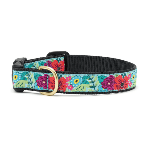 Up Country Flower Story Dog Collar Medium 12"-18"/1"