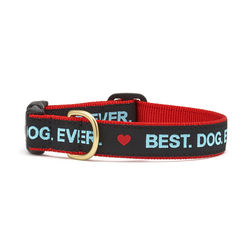 Up Country Best Dog Ever Dog Collar X-Small (6"-12") 5/8"