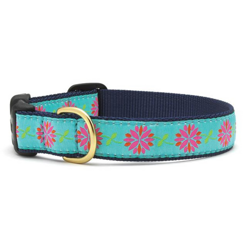 Up Country Dahlia Darling Dog Collar Large 15"-21"/1"
