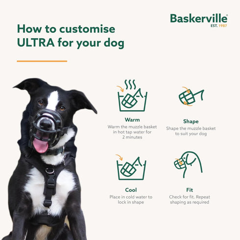 Baskerville Ultra Muzzle - Training Muzzle for Dogs, Size 2