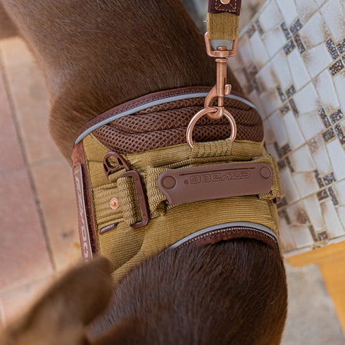 EzyDog Corduroy Convert Dog Harness XL - Poudre Pet & Feed Supply 4