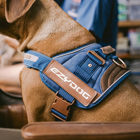 EzyDog Denim Convert Dog Harness XL - Poudre Pet & Feed Supply 4