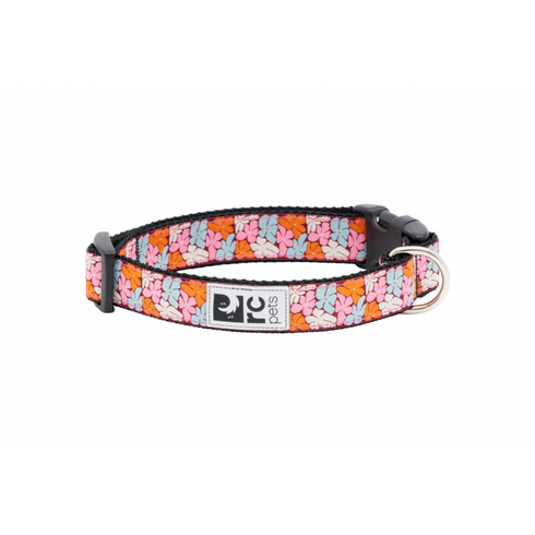 RC PETS Dog Clip Collar, Boho, S, 3/4"/ 9" - 13" - Poudre Pet and Feed Supply