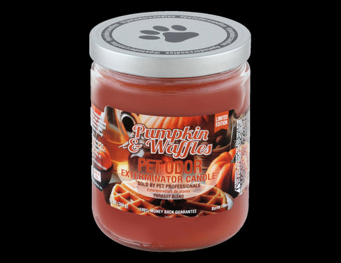 Candle Pumpkin & Waffles 13oz