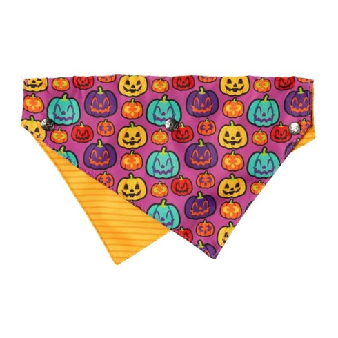 Fuzzyard Oh My Gourd! Dog Bandana Bowtie 2 Pack - Poudre Pet & Feed Supply 2