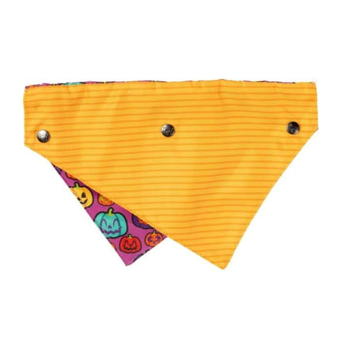 Fuzzyard Oh My Gourd! Dog Bandana Bowtie 2 Pack Large - Poudre Pet & Feed Supply 3
