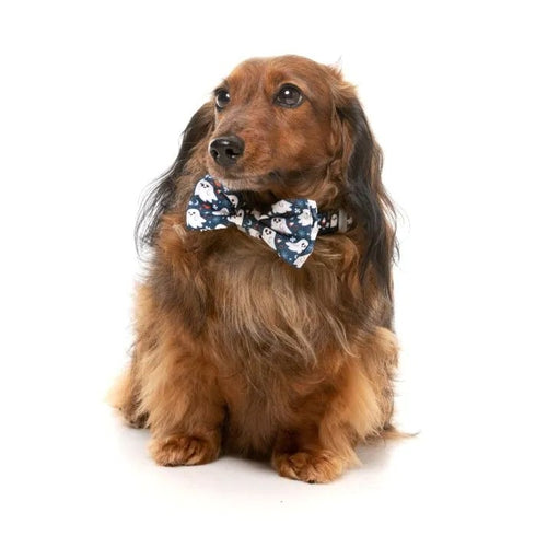 Fuzzyard That's The Spirit Dog Bowtie Bandana 2 Pack Small - Poudre Pet & Feed Supply 5