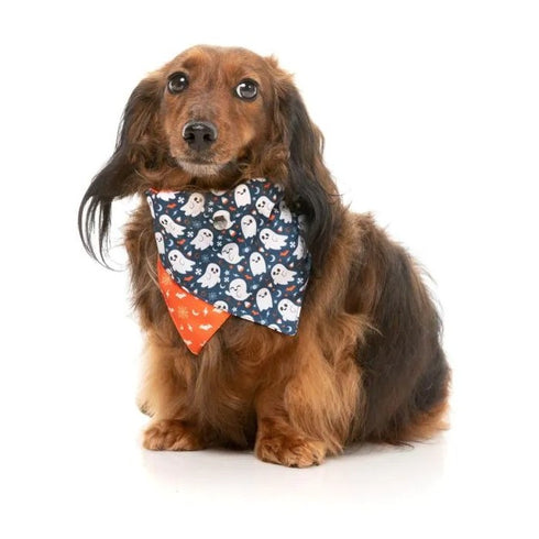 Fuzzyard That's The Spirit Dog Bowtie Bandana 2 Pack Small - Poudre Pet & Feed Supply 6