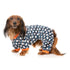 FuzzYard That's The Spirit Dog Pajamas Size 1 - Poudre Pet & Feed Supply 5