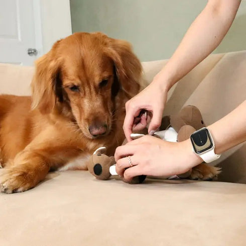 Injoya Joey Pouch Snuffle Dog Toy - Poudre Pet & Feed Supply 3