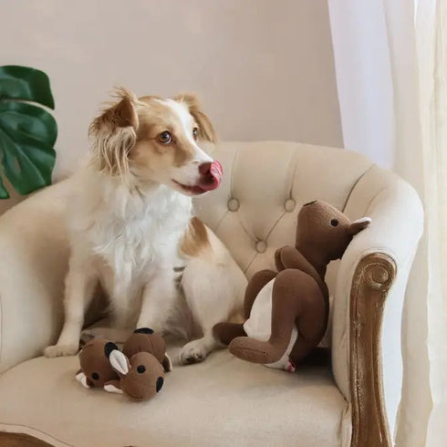 Injoya Joey Pouch Snuffle Dog Toy - Poudre Pet & Feed Supply 5