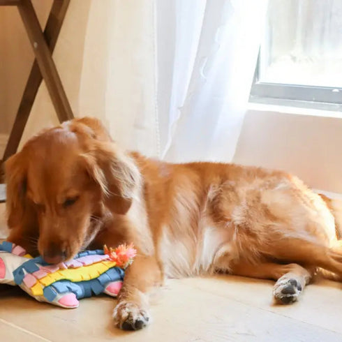 Injoya Fiesta Piñata Snuffle Toy