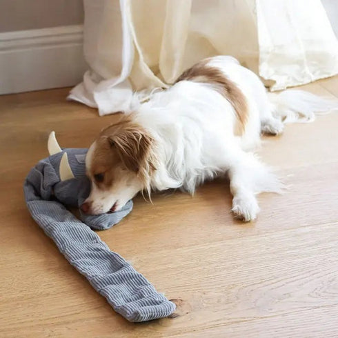 Injoya Trunk or Treat Snuffle Dog Toy - Poudre Pet & Feed Supply 3