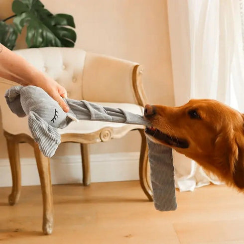 Injoya Trunk or Treat Snuffle Dog Toy - Poudre Pet & Feed Supply 4