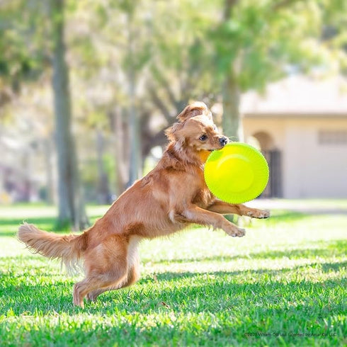 Wham-O Pets Frisbee Gripsbee Jumbo Flying Dog Toy - Poudre Pet & Feed Supply 2