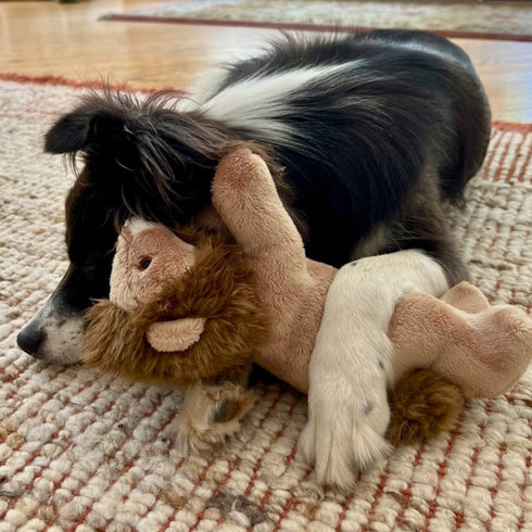 Fluff & Tuff Leo Lion Dog Toy - Poudre Pet & Feed Supply 4