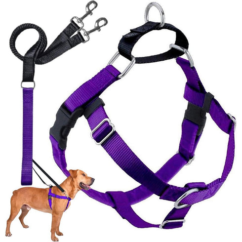 2 Hounds Design Freedom No-Pull Dog Harness Leash XS Purple - Poudre Pet & Feed Supply