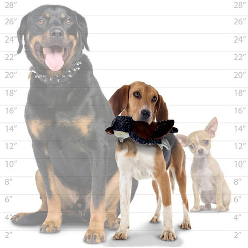 Tuffy's Mighty Jr NatureE Owl Dog Toy - Poudre Pet & Feed Supply 4