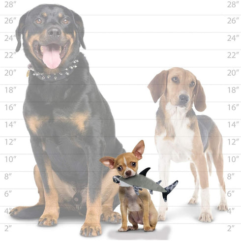 Tuffy's Mighty Jr Ocean Hammerhead Dog Toy - Poudre Pet & Feed Supply 4