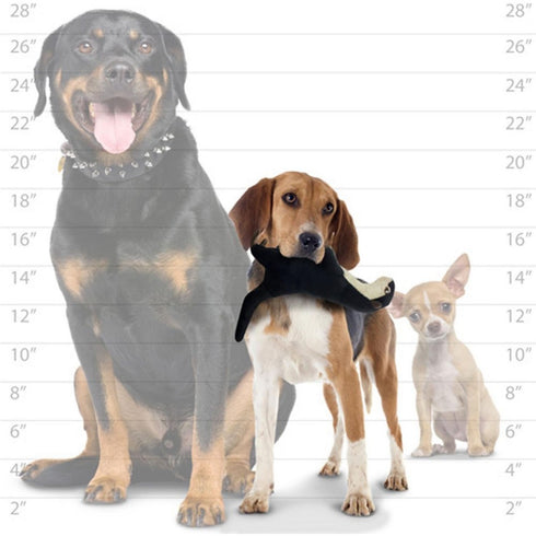 Tuffy's Mighty Jr Safari Meercat Dog Toy - Poudre Pet & Feed Supply 5