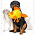Tuffy's Mighty Massive Ocean Goldfish Squeaker Dog Toy - Poudre Pet & Feed Supply 4