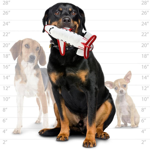 Tuffy's Transportation Airplane Dog Toy