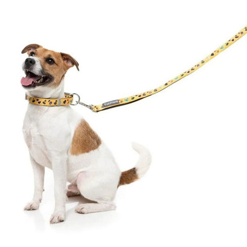 FuzzYard What The Duck Dog Collar Small - Poudre Pet & Feed Supply 3