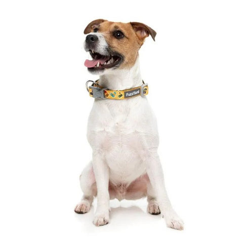 FuzzYard What The Duck Dog Collar Medium - Poudre Pet & Feed Supply 2