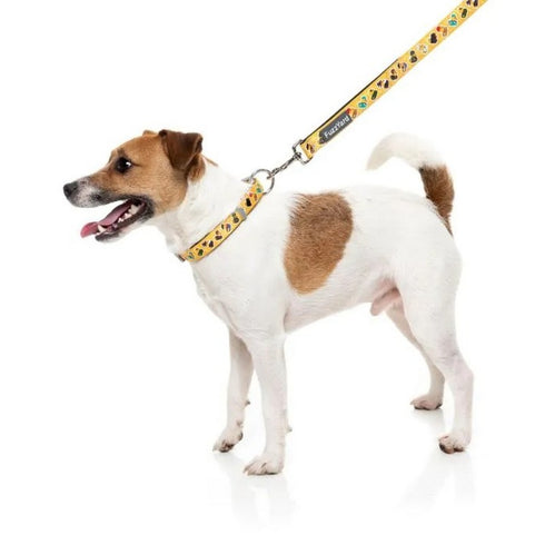 FuzzYard What The Duck Dog Lead Small - Poudre Pet & Feed Supply 3